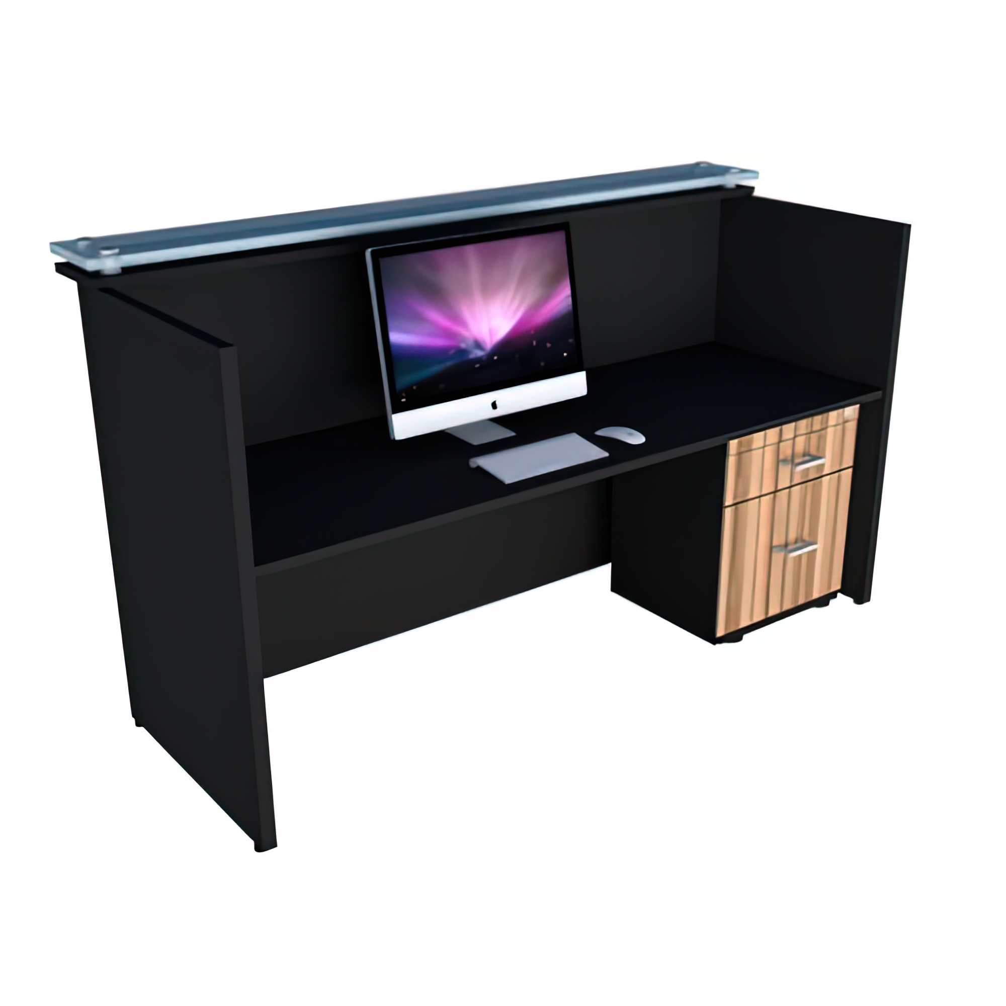 Recepción Modelo Roma